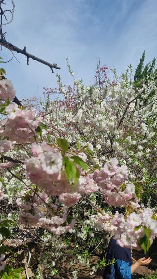 이병성님의 자유주제 · 사진전 작성글 사진
