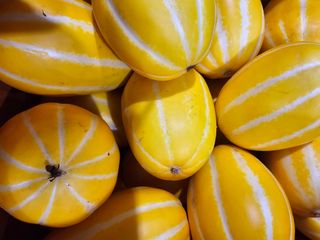 써니네님의 작성글 사진