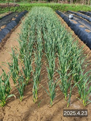 정석범님의 자유주제 · 자유게시판 작성글 사진