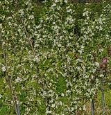 팜모닝 자유주제·자유게시판 게시글 이미지