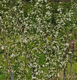 복주농장님의 자유주제 · 자유게시판 작성글 사진