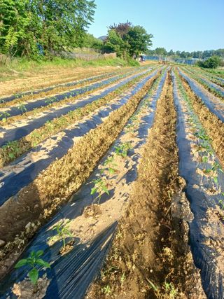 이정민님의 자유주제 · 사진전 작성글 사진