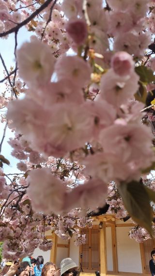 이병성님의 자유주제 · 사진전 작성글 사진