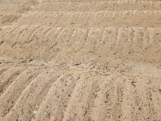 김용석님의 자유주제 · 자유게시판 작성글 사진