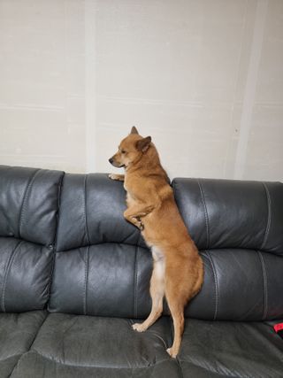 역전평리이광재님의 자유주제 · 자유게시판 작성글 사진