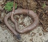 팜모닝 자유주제·자유게시판 게시글 이미지