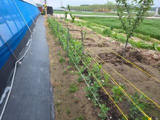 나선기님의 자유주제 · 자유게시판 작성글 사진