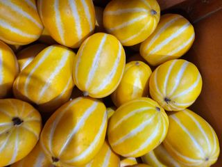 써니네님의 작성글 사진