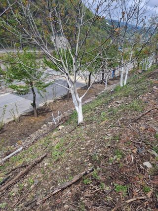 김용대님의 자유주제 · 자유게시판 작성글 사진