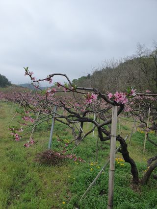 해송님의 자유주제 · 자유게시판 작성글 사진
