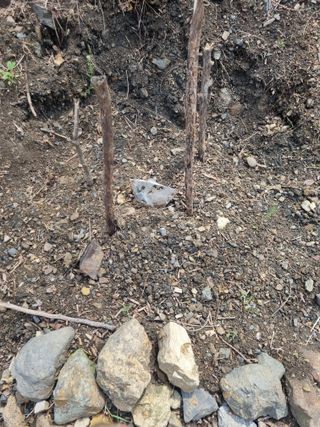 김용대님의 자유주제 · 자유게시판 작성글 사진