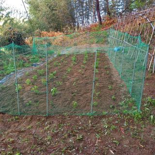 이장우님의 자유주제 · 자유게시판 작성글 사진