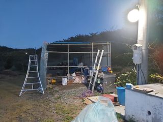 서산팔봉농원님의 자유주제 · 자유게시판 작성글 사진