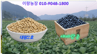 (이랑농장)김재한님의 작성글 사진