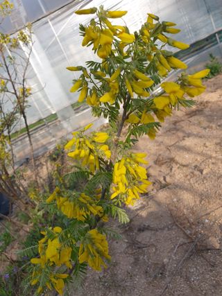 안비님의 자유주제 · 자유게시판 작성글 사진