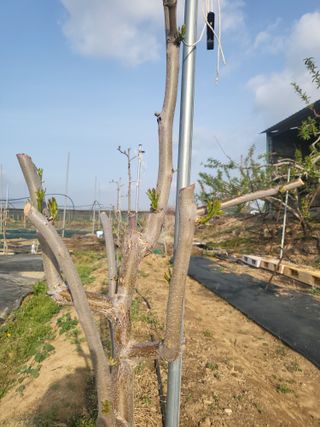 이동엽(양지팜)님의 자유주제 · 자유게시판 작성글 사진