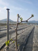 팜모닝 자유주제·자유게시판 게시글 이미지