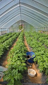 팜모닝 자유주제·자유게시판 게시글 이미지