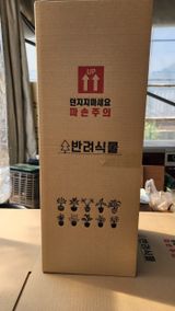 팜모닝 자유주제·자유게시판 게시글 이미지