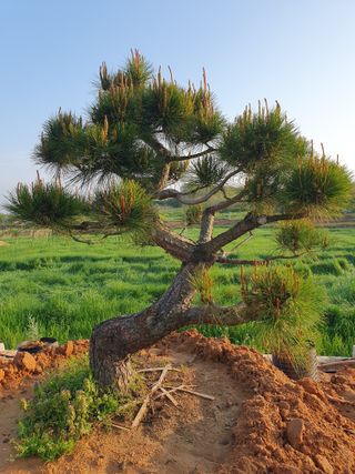 알 수 없음님의 자유주제 · 사진전 작성글 사진
