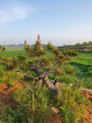 알 수 없음님의 자유주제 · 사진전 작성글 사진