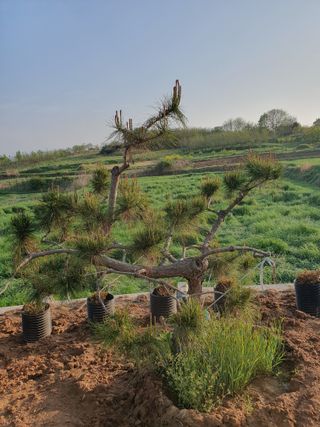 알 수 없음님의 자유주제 · 사진전 작성글 사진