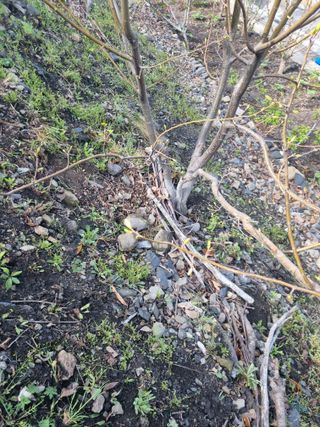 김용대님의 자유주제 · 자유게시판 작성글 사진