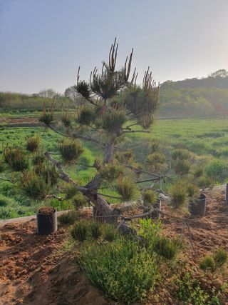알 수 없음님의 자유주제 · 사진전 작성글 사진