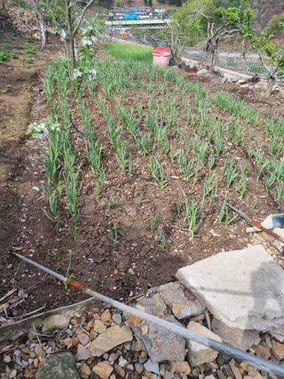 김용대님의 자유주제 · 자유게시판 작성글 사진