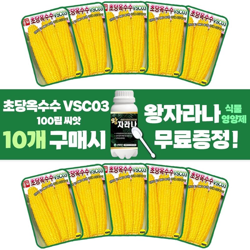 장터 상품 [초당옥수수 씨앗 100립 VSC03 생식용 옥수수씨 종자 10개 + 왕자라나 500ml 식물영양제 1개 증정] 썸네일