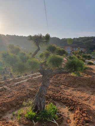 알 수 없음님의 자유주제 · 사진전 작성글 사진