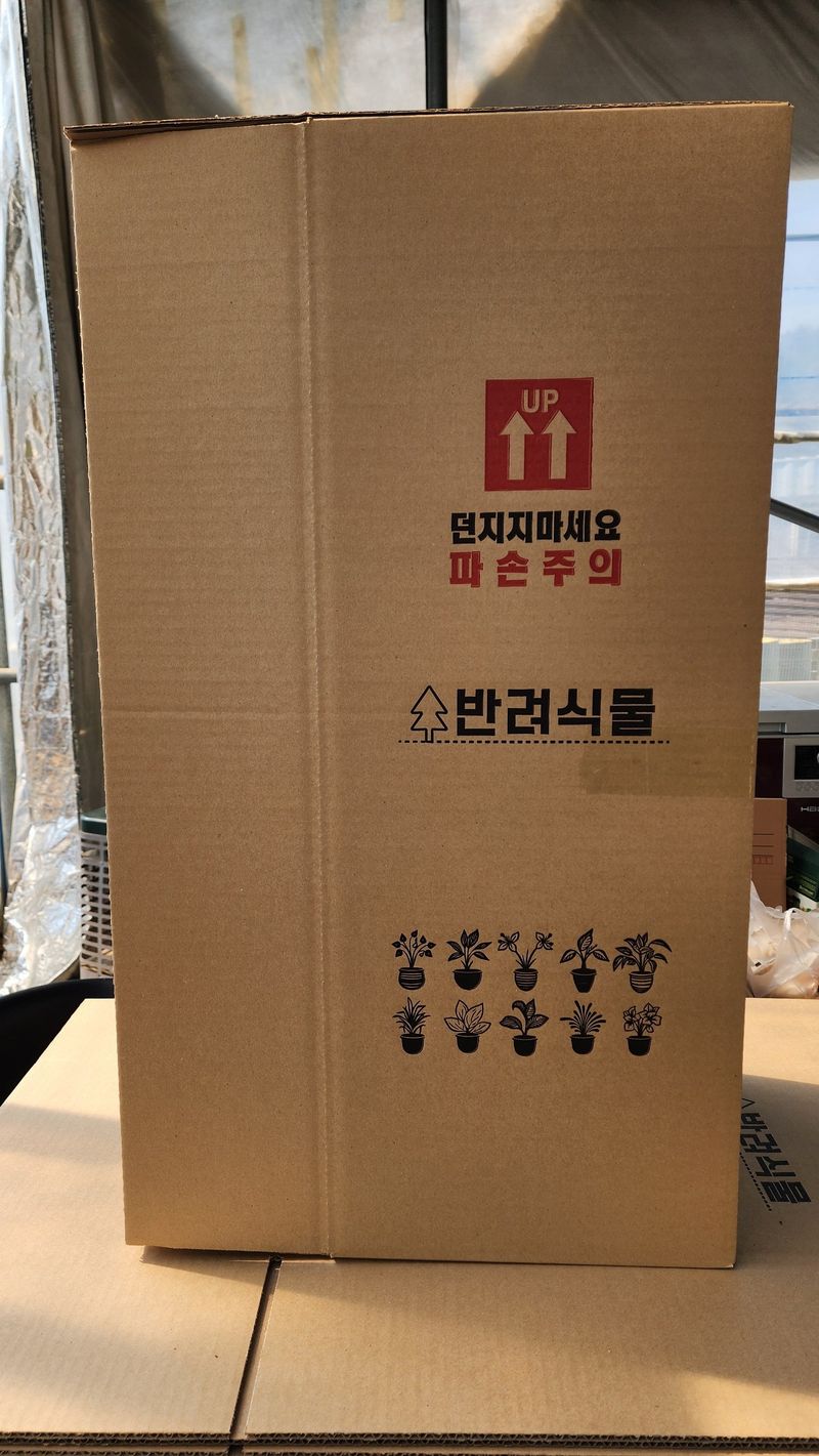 정미리님의 장터 판매 상품 [불수감 3년생 묘목 (발송가능)] 첨부 사진