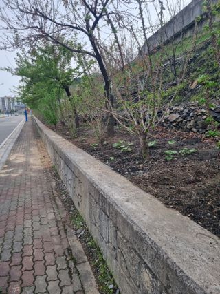 김용대님의 자유주제 · 자유게시판 작성글 사진