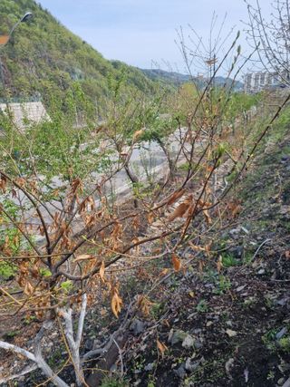 김용대님의 자유주제 · 자유게시판 작성글 사진