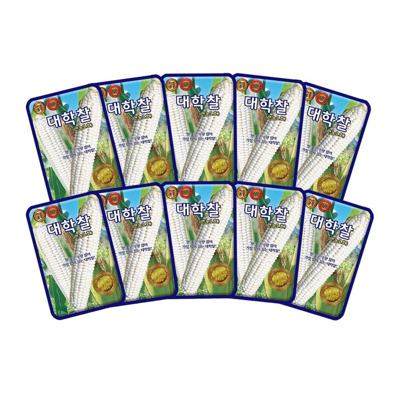 산들마켓,씨앗마켓님의 장터 판매 상품 [대학찰 옥수수 씨앗 70립 연농1호 옥수수씨 종자 10개 + 왕자라나 500ml 식물 영양제 증정] 첨부 사진