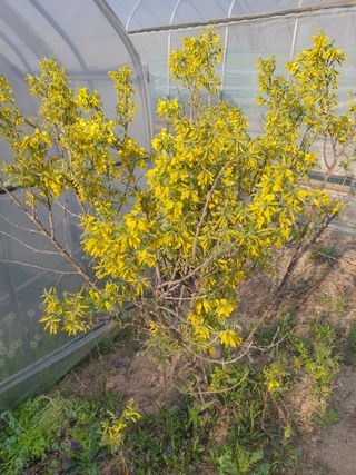 안비님의 자유주제 · 자유게시판 작성글 사진