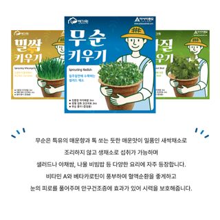 아시아종묘님의 자유주제 · 자유게시판 작성글 사진