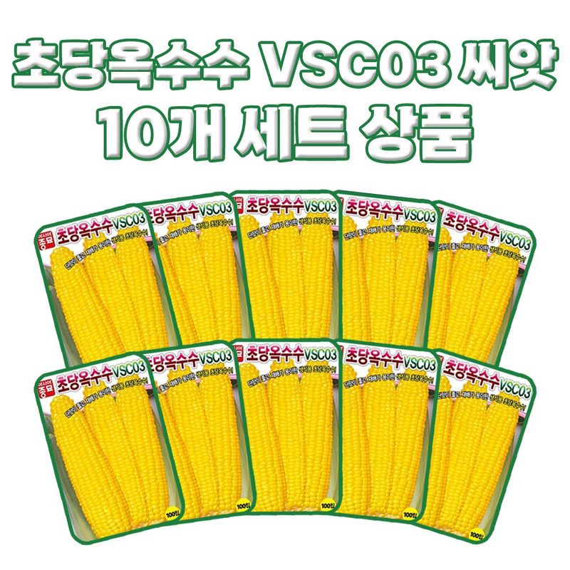 산들마켓,씨앗마켓님의 장터 판매 상품 [초당옥수수 씨앗 100립 VSC03 생식용 옥수수씨 종자 10개 + 왕자라나 500ml 식물영양제 1개 증정] 첨부 사진