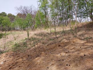 시골살이님의 자유주제 · 자유게시판 작성글 사진