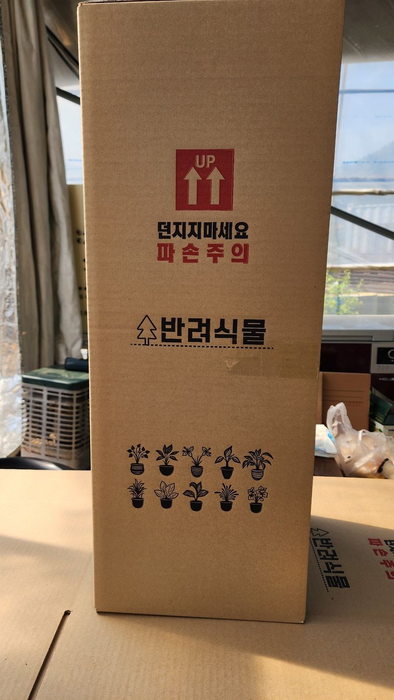 정미리님의 장터 판매 상품 [불수감 3년생 묘목 (발송가능)] 첨부 사진