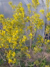 팜모닝 자유주제·자유게시판 게시글 이미지