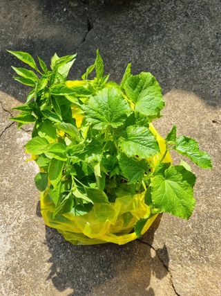 권오정님의 자유주제 · 자유게시판 작성글 사진