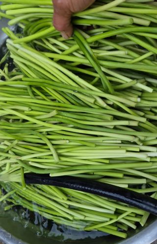 농사꾼 단비님의 작성글 사진