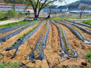 권오정님의 자유주제 · 자유게시판 작성글 사진