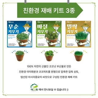 아시아종묘님의 자유주제 · 자유게시판 작성글 사진