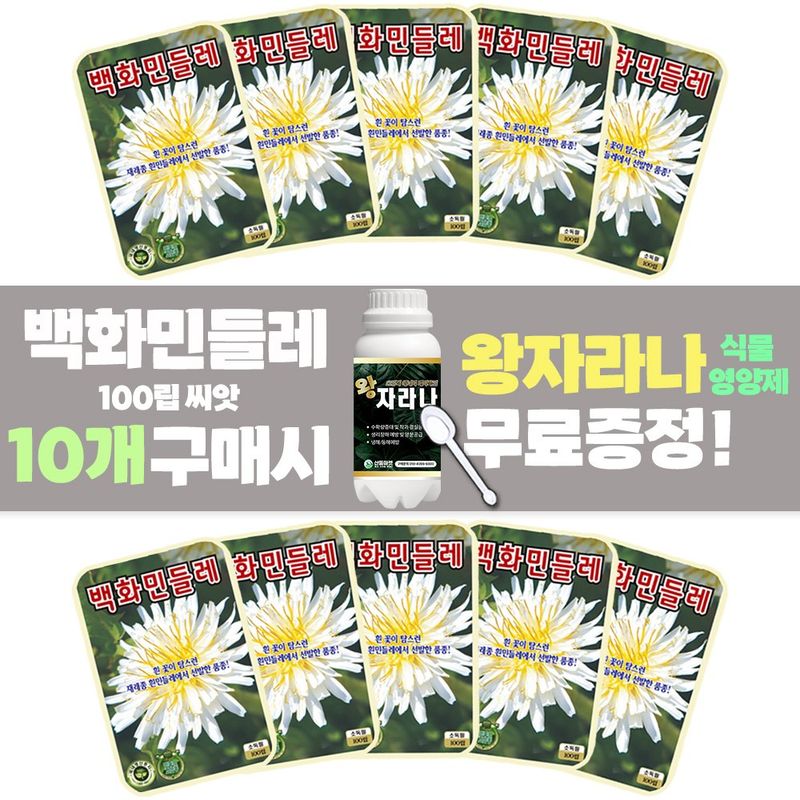 장터 상품 [백화민들레 씨앗 100립 재래종 흰민들레씨 종자 10개 + 왕자라나 500ml 식물영양제 1개 증정] 썸네일