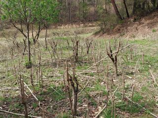 시골살이님의 자유주제 · 자유게시판 작성글 사진