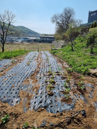 권오정님의 자유주제 · 자유게시판 작성글 사진