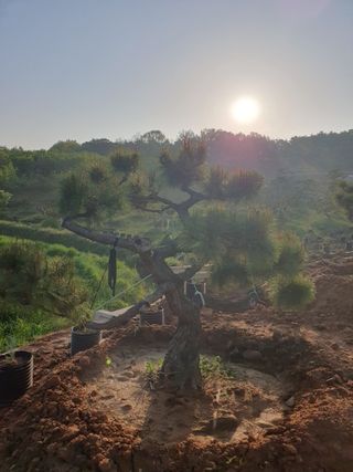알 수 없음님의 자유주제 · 사진전 작성글 사진