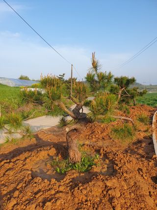 알 수 없음님의 자유주제 · 사진전 작성글 사진